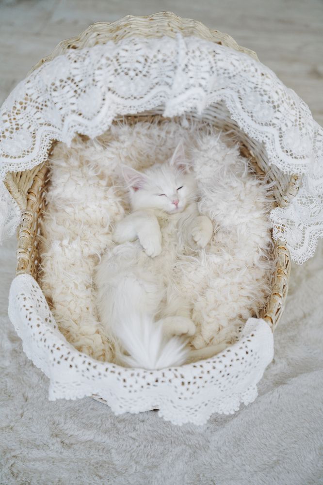 Photograph by Екатерина Чернова-Груздева