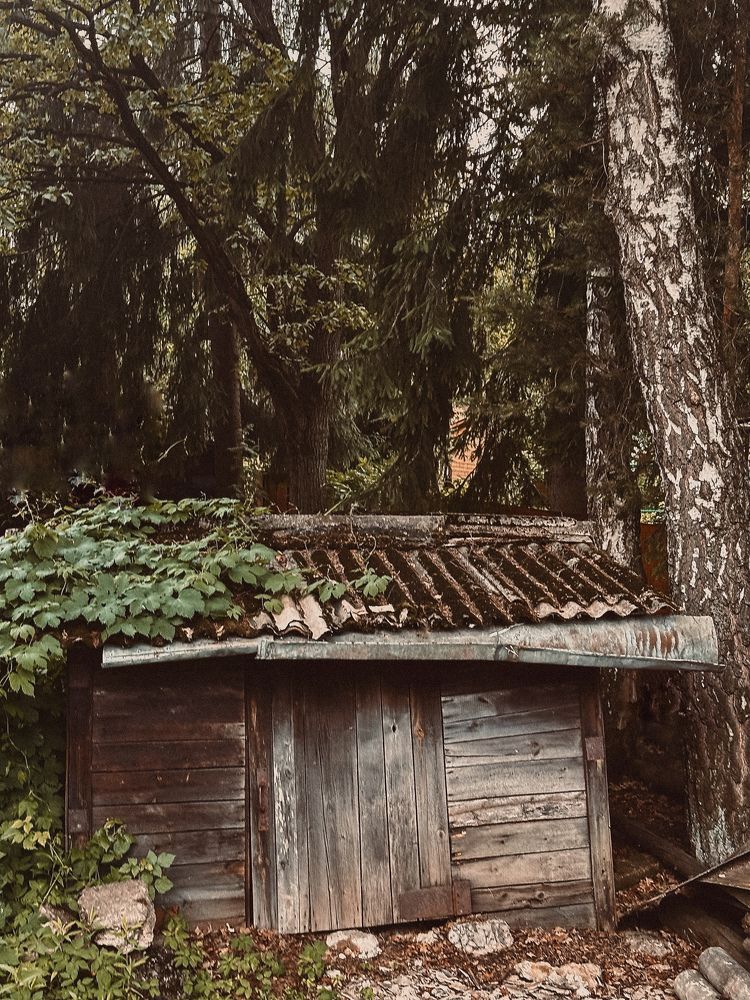 Photograph by Диана Бадеева