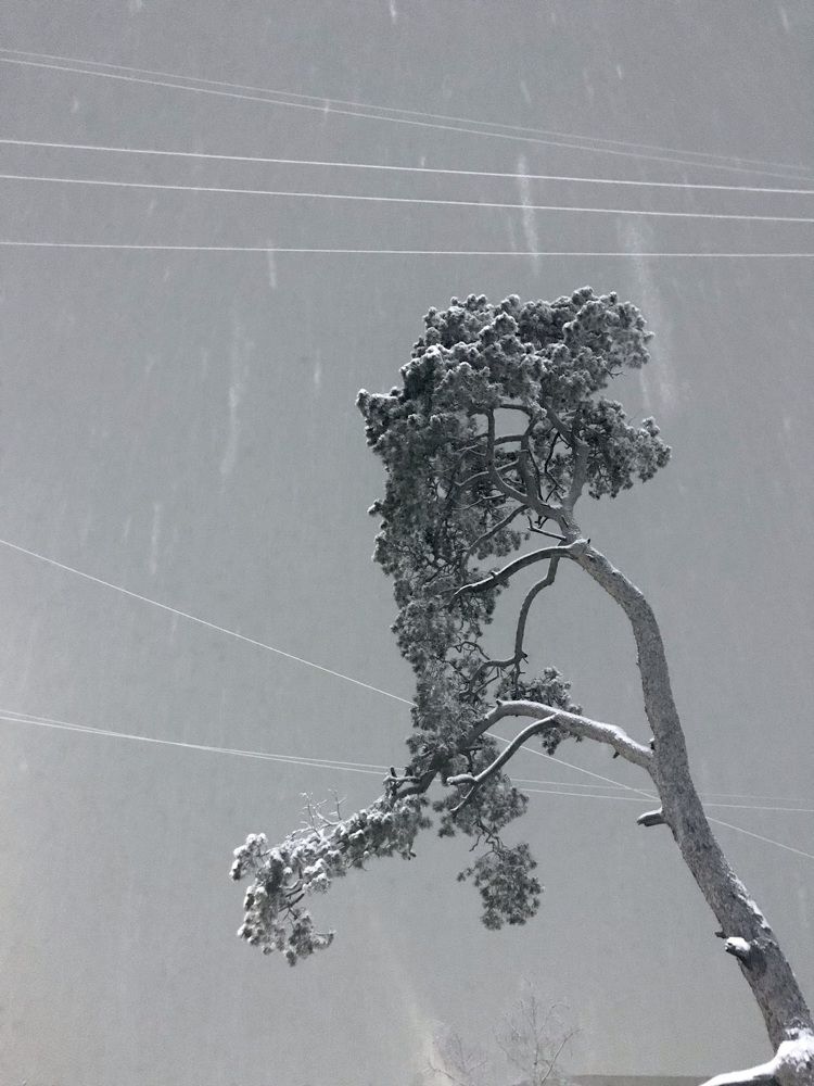 Photograph by Наталья Ермакова