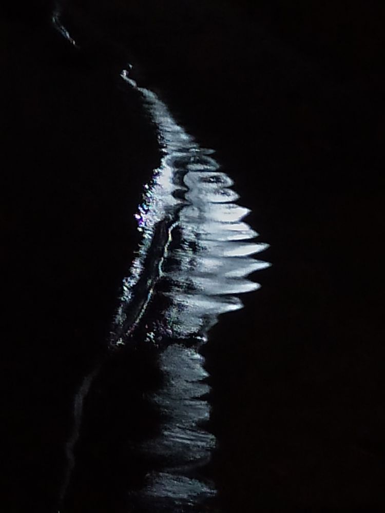 Фотография автора Каргин Валерий