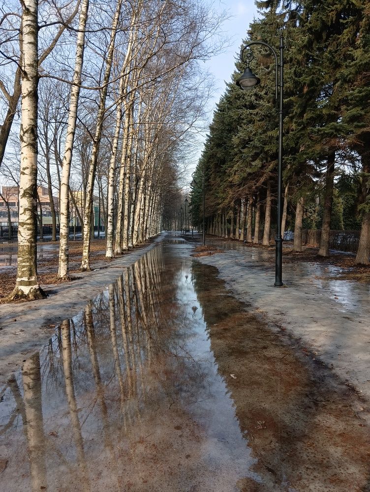 Весенний парк