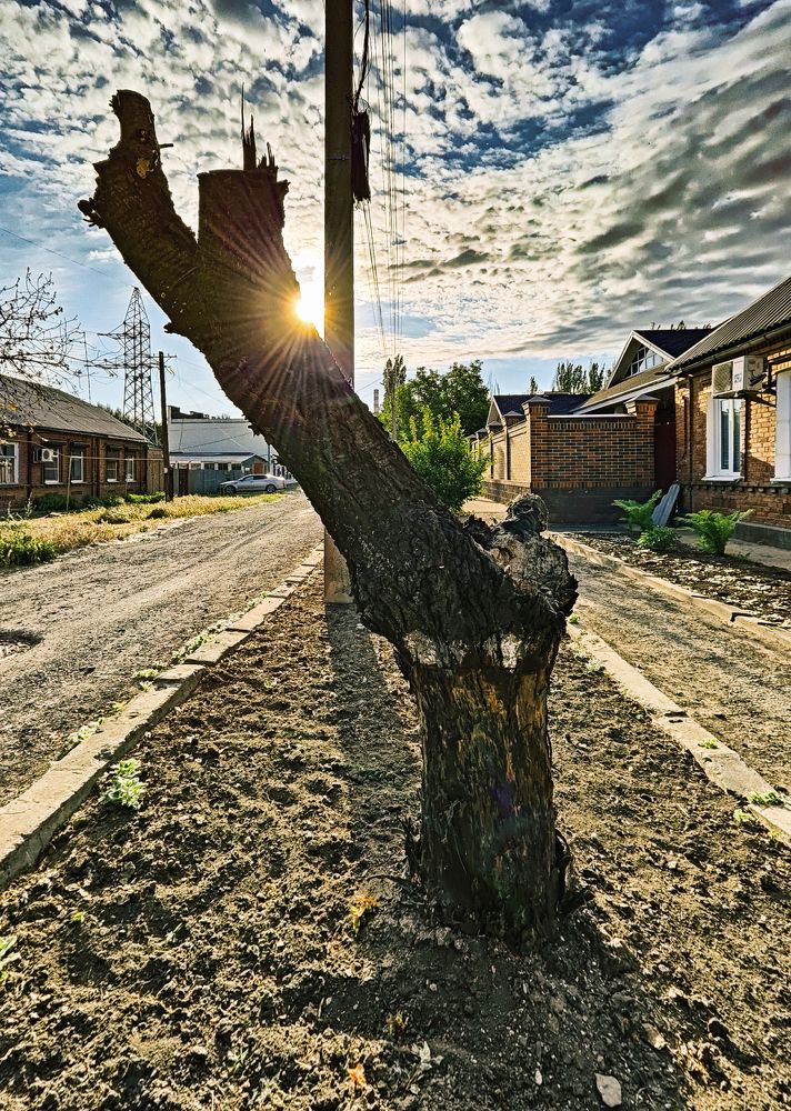 Жизнь продолжается