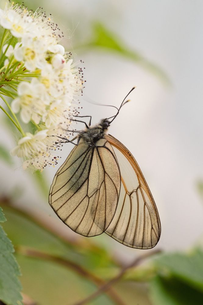 Photograph by Ольга Таланцева