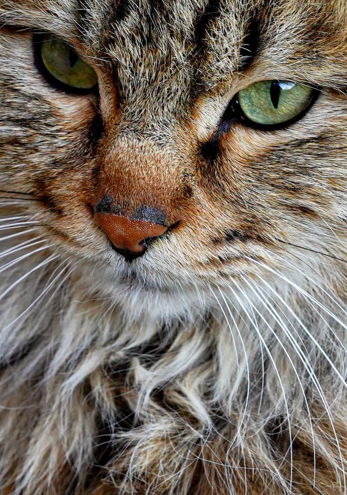 Photograph by kamran shirani