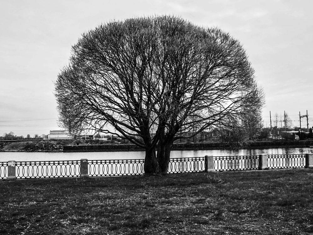 Photograph by Sergey Kurkov-Tarkovsky