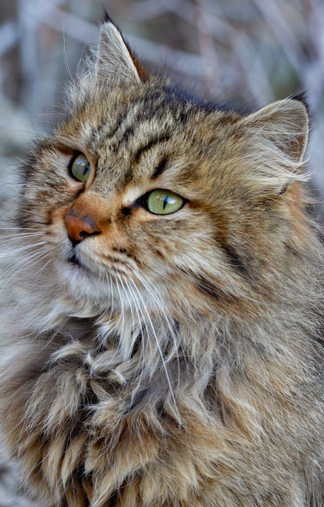 Photograph by kamran shirani