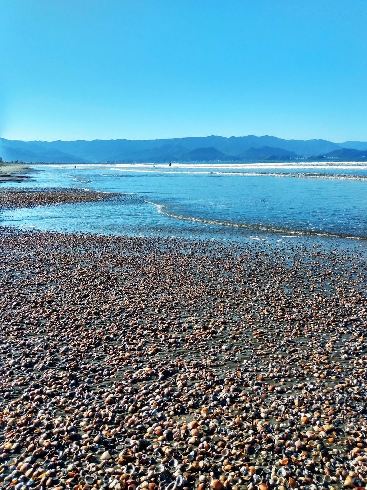 Photograph by Luiz Gustavo Campino Grunewald