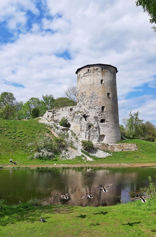 Photograph by Елена Котлярова