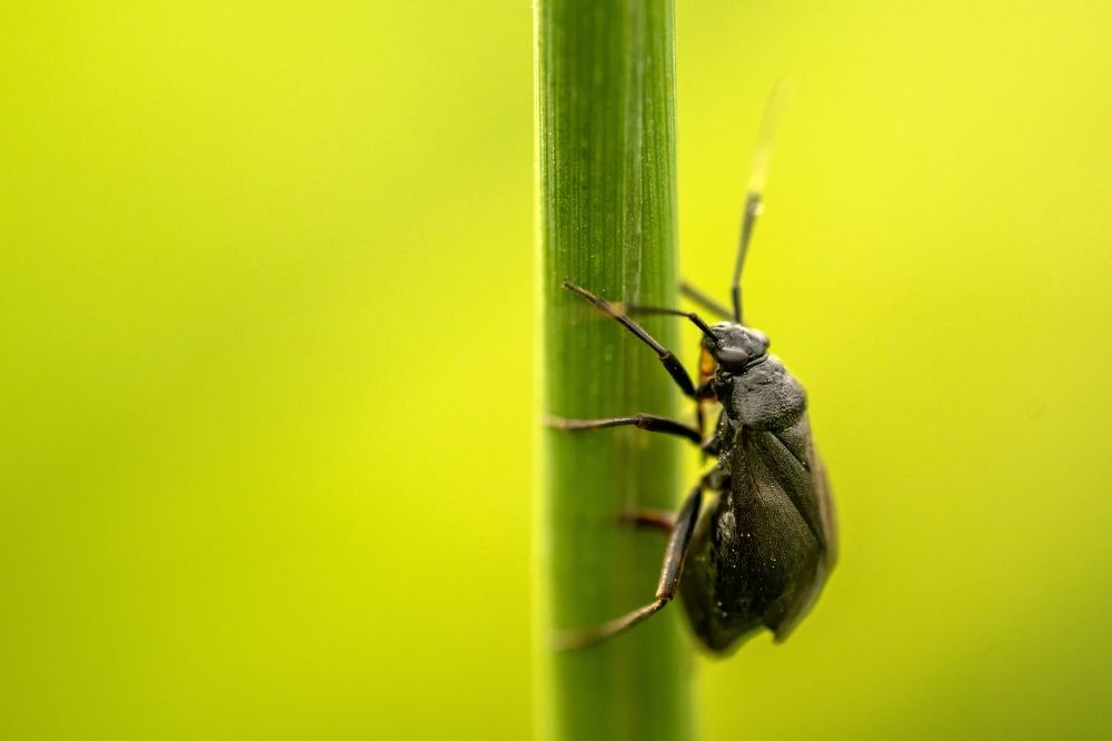 Photograph by Kamil Stępień