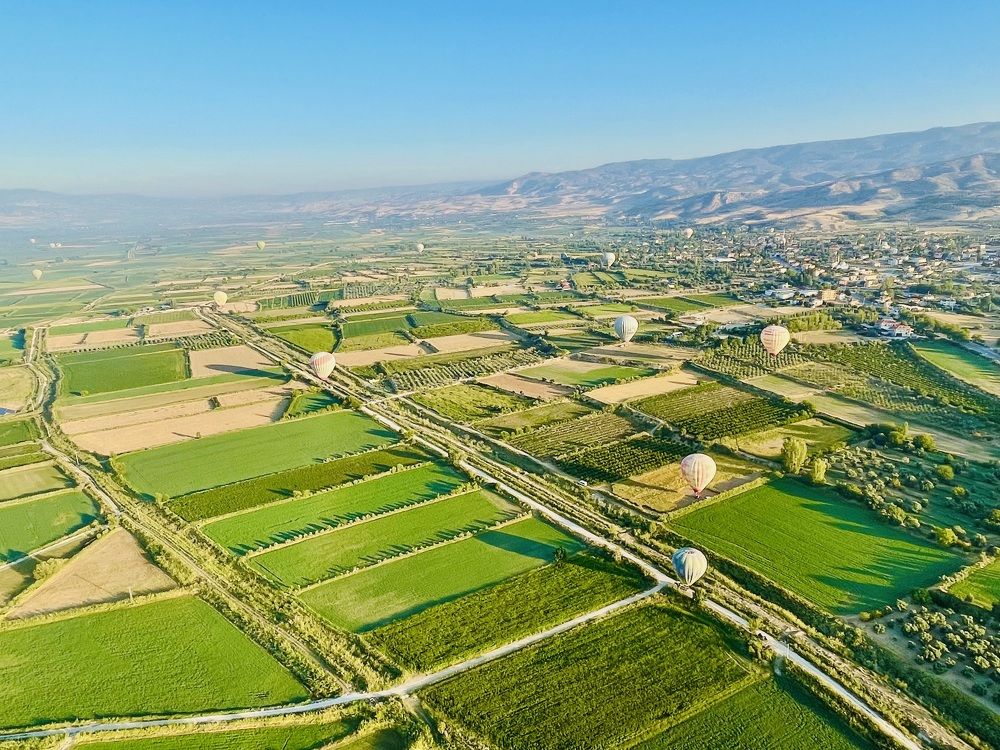 Photograph by Лариса