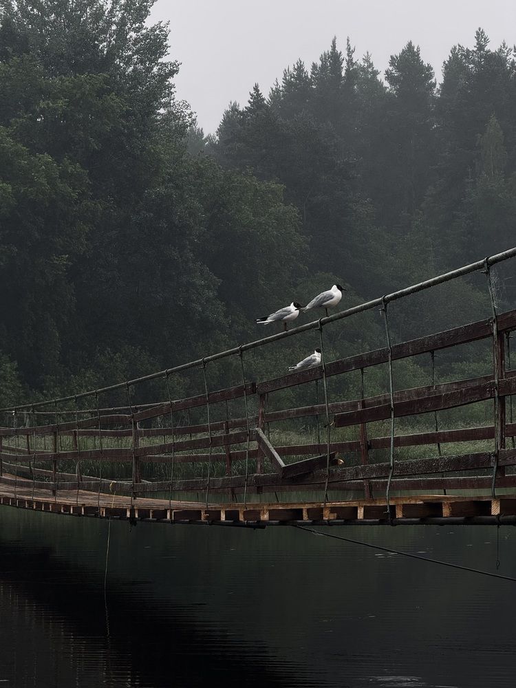 Photograph by Елена Войтова