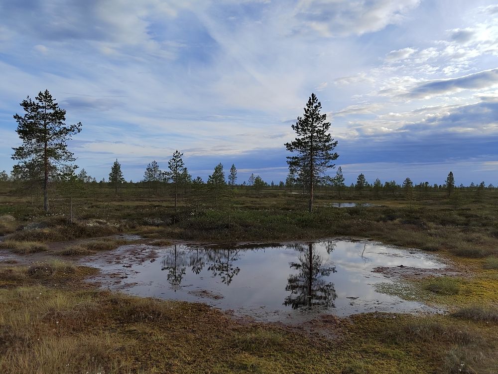 Photograph by Наталья Горовых