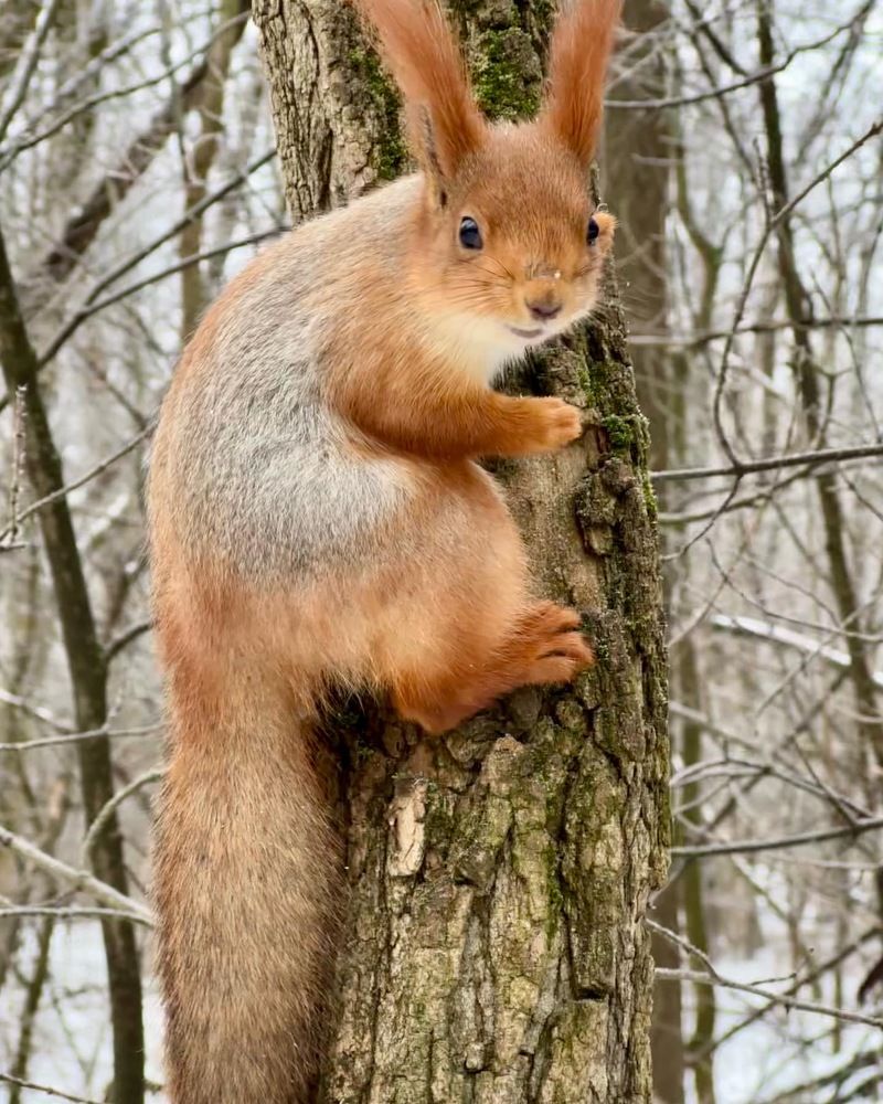 Photograph by Юлия