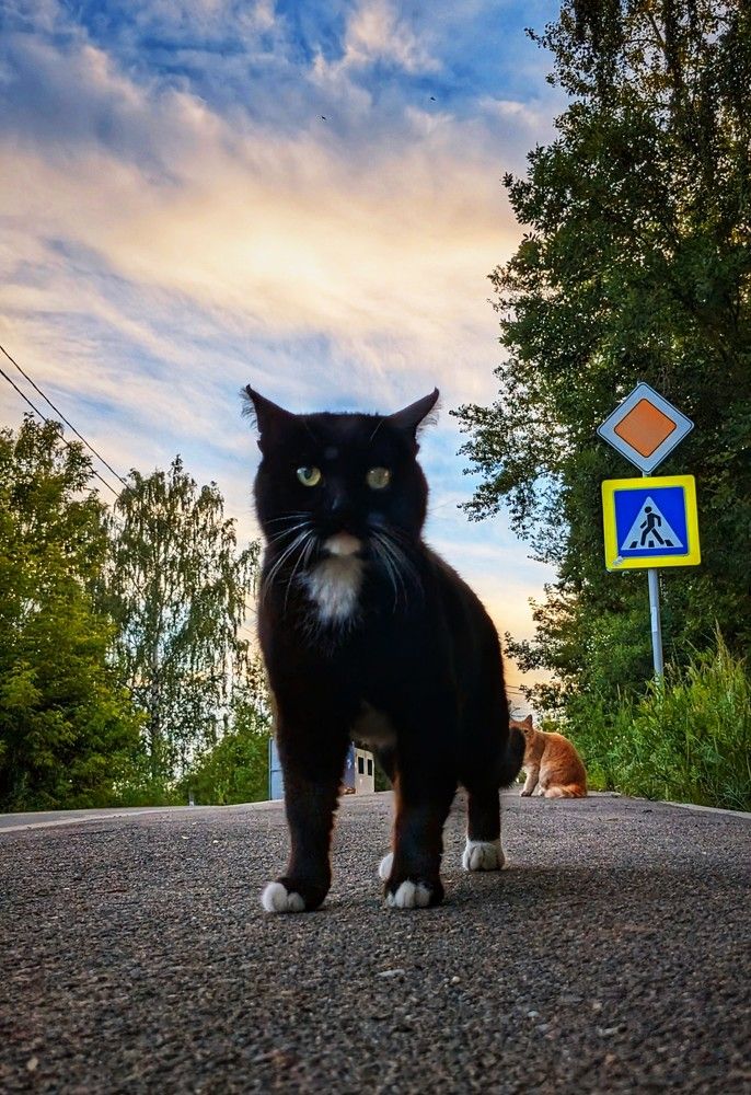 Photograph by Алексей Худяков