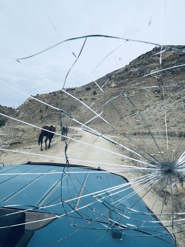 Photograph by Лариса