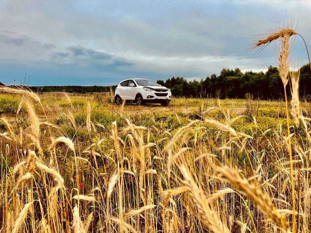 Фотография автора Мария