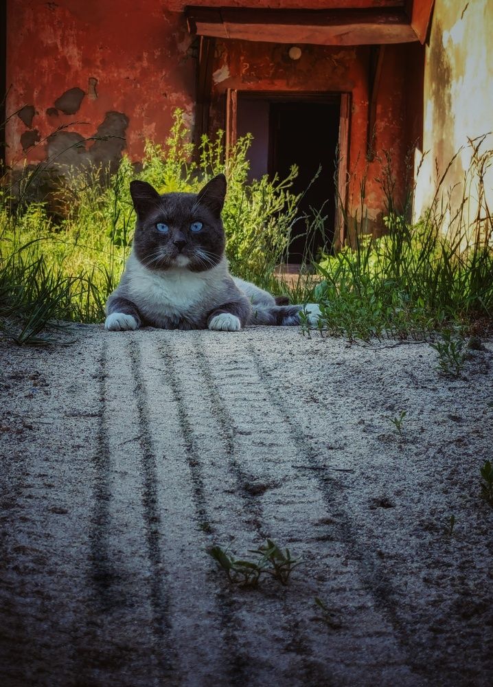 Photograph by Алексей Худяков