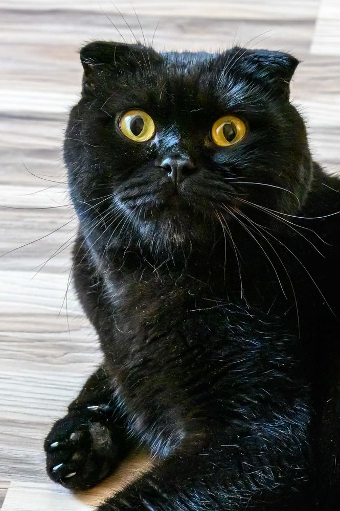 Photograph by Леонид Соболев