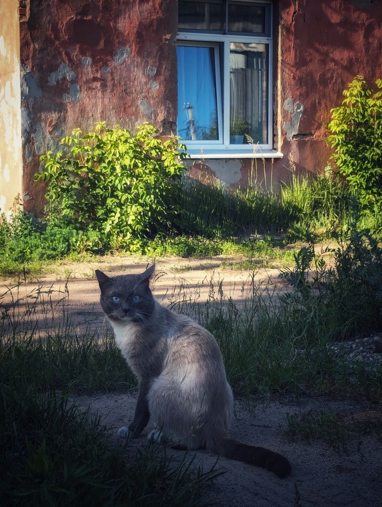 Photograph by Алексей Худяков