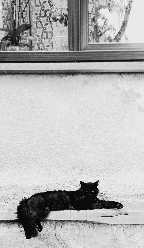 Photograph by Елена Воронова