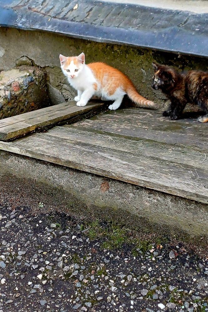 Photograph by Елена Воронова