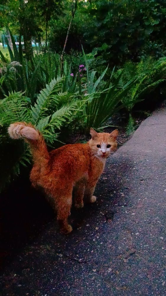 Photograph by Елена Воронова