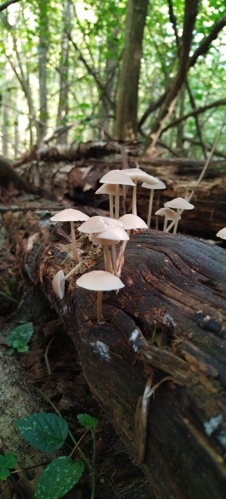 Photo #10739963