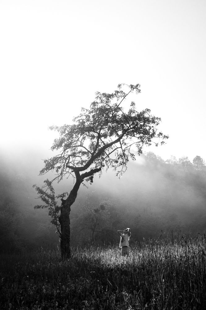 Фотография автора Abdullah Ibradžić