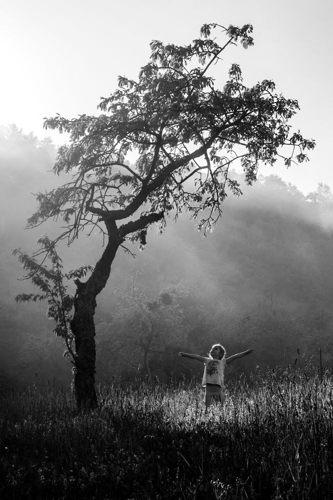 Фотография автора Abdullah Ibradžić