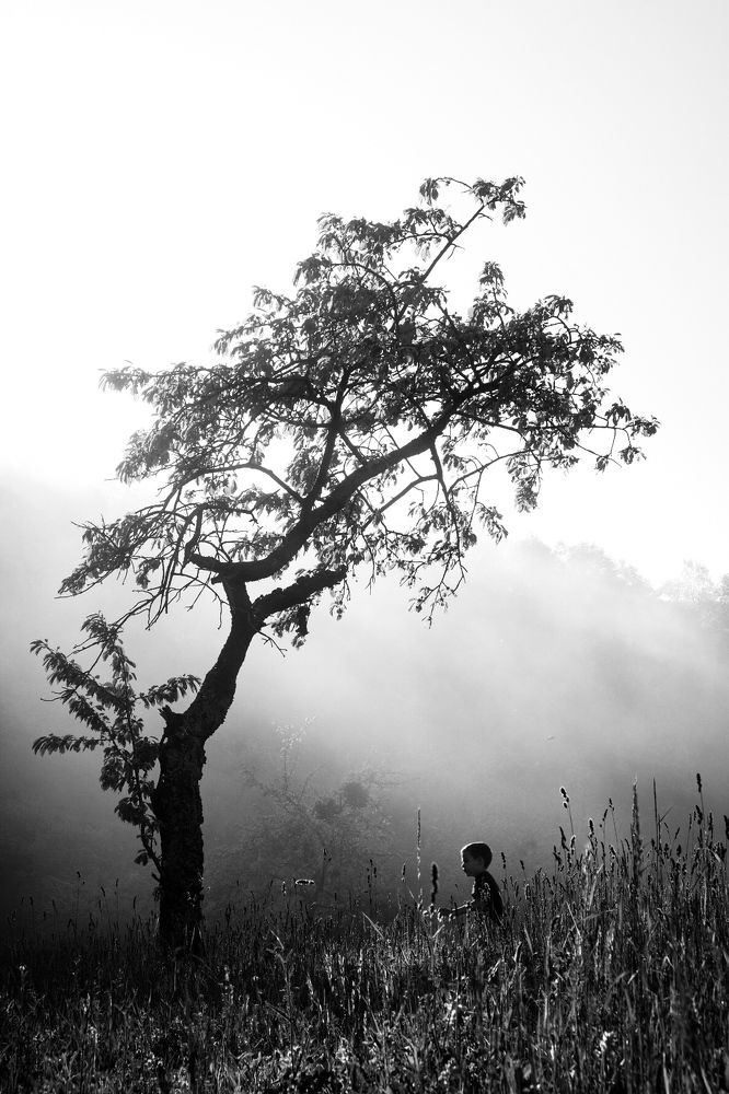 Фотография автора Abdullah Ibradžić