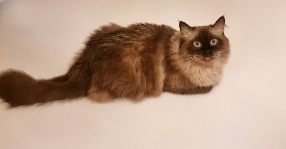 Фотография автора Марина Карасева