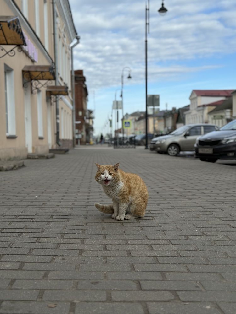 Photograph by Елена Войтова