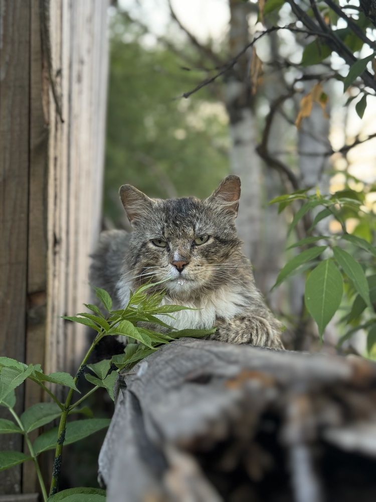 Photograph by Елена Войтова