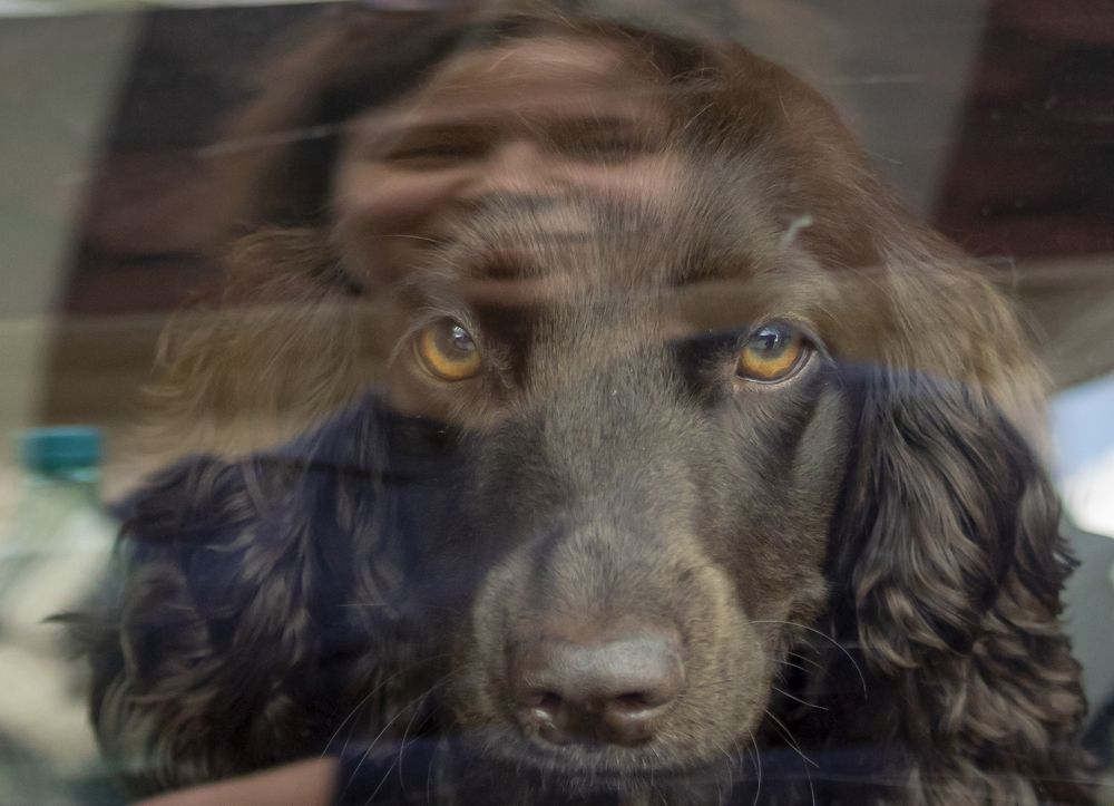 Photograph by Юлия Куликова