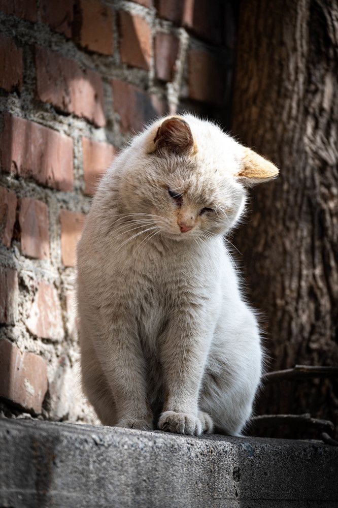 Фотография автора Оксана Белозерская