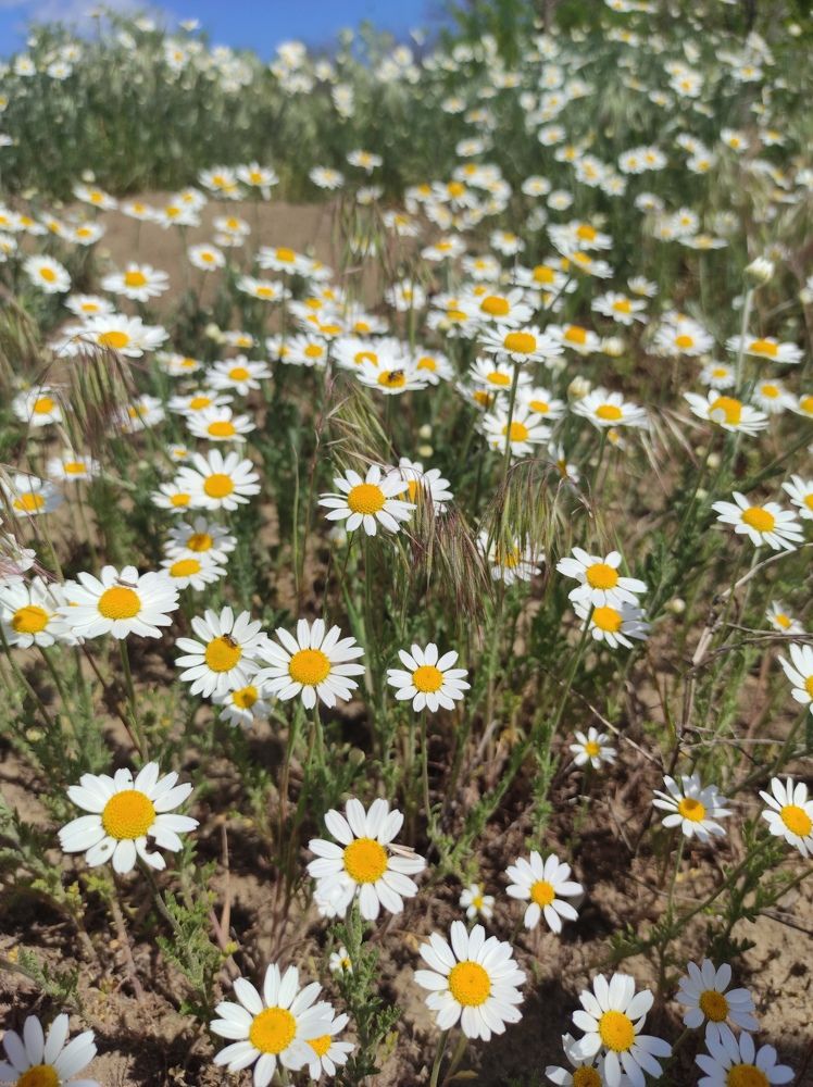 Photograph by Иван Коваленко