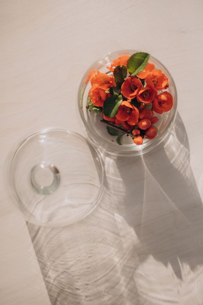 Photograph by Виолетта Алексеевна