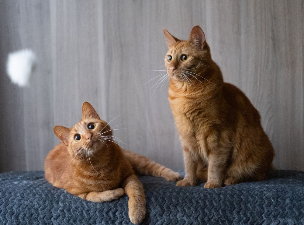 Photograph by Елена Акимова