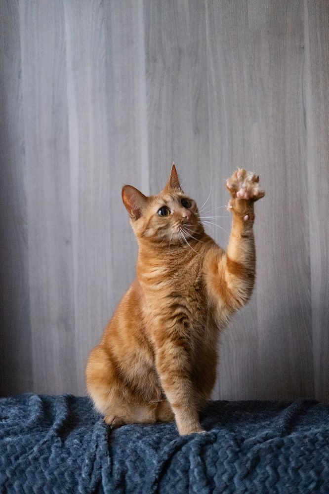 Photograph by Елена Акимова