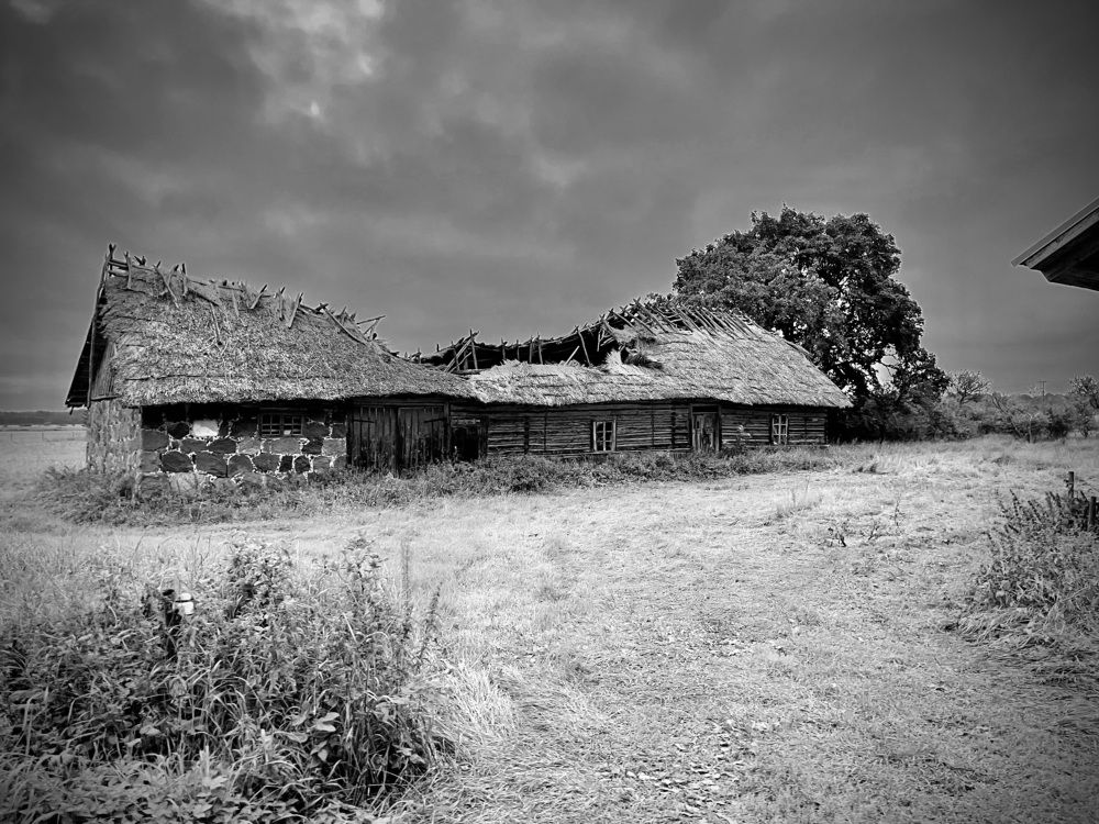 Photograph by Ксения Круглова