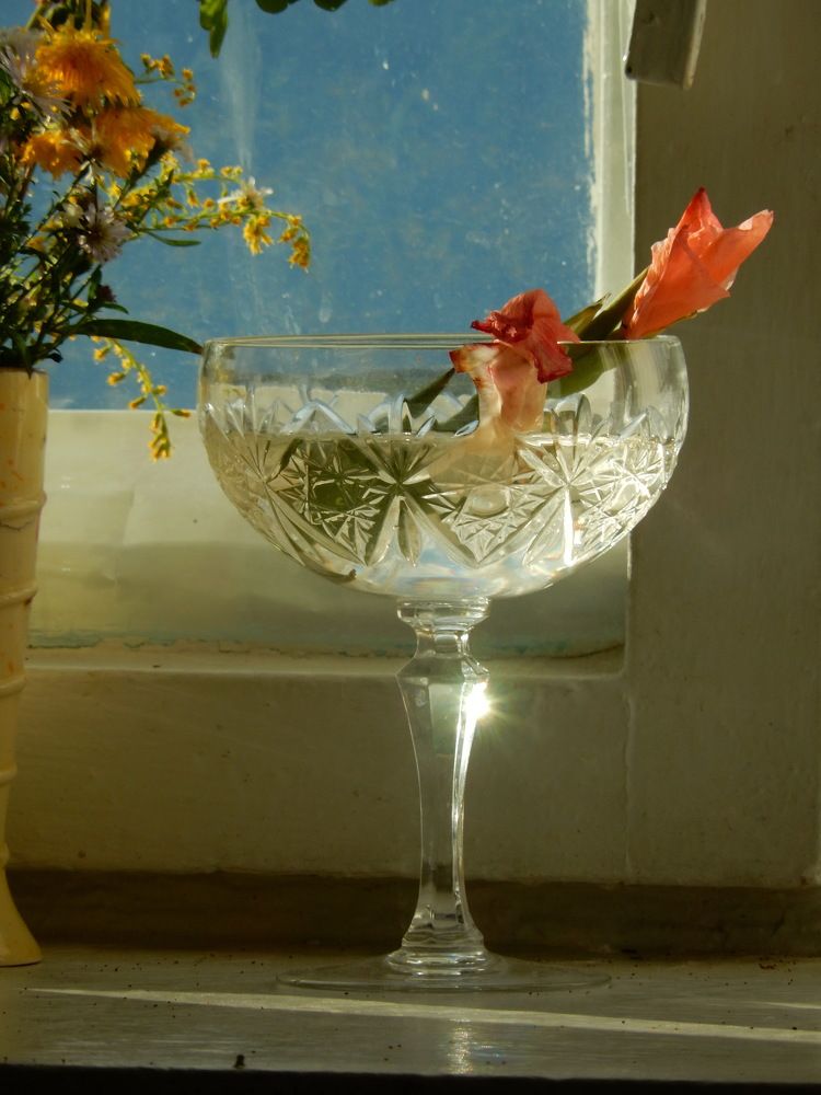 Фотография автора Клавдия Васильева