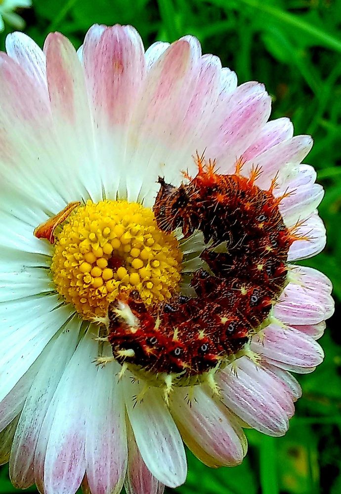 Photograph by Евгений Савулькин