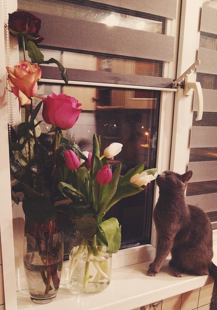 Photo #10740168