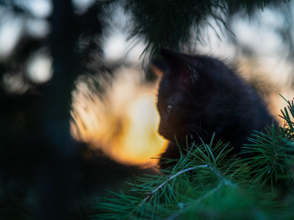 Photograph by Маргарита Ивкова