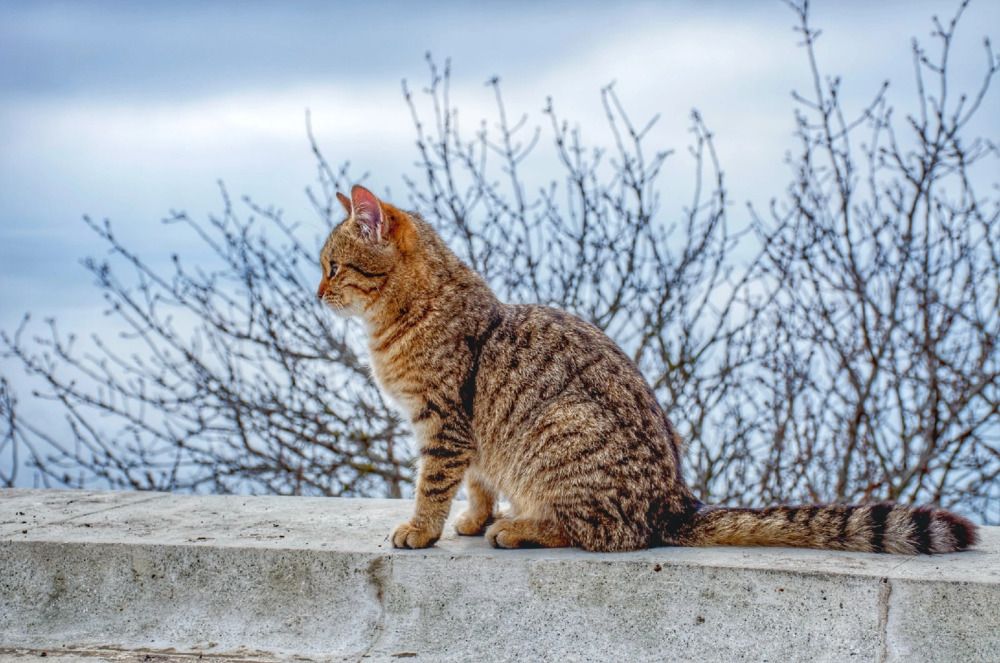 Photograph by Екатерина Игоревна