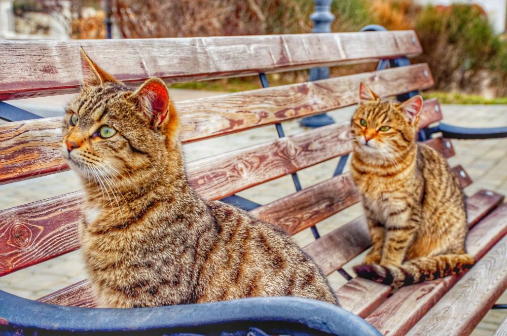 Photograph by Екатерина Игоревна