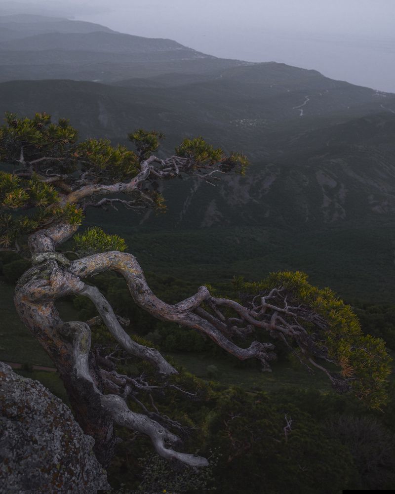 Photograph by Сергей Лексин