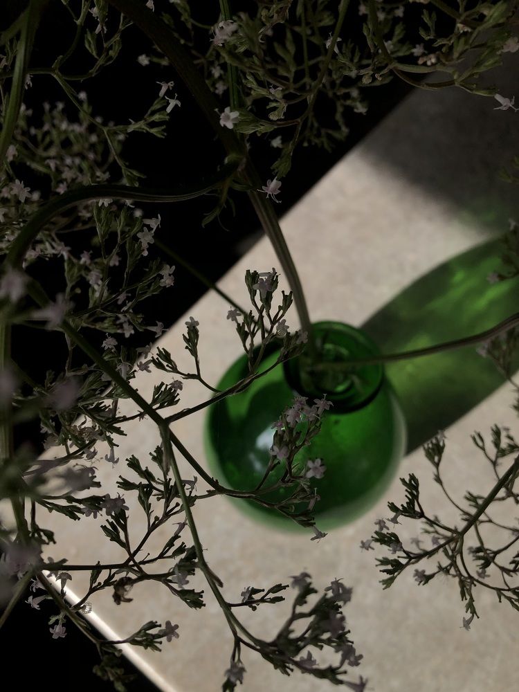 Photograph by Valentina Jegorova