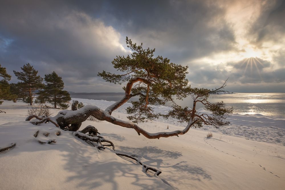 Photograph by Юрий