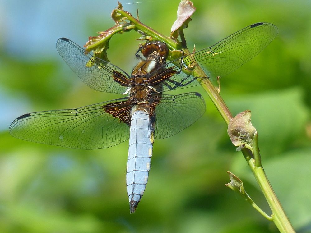 Photograph by Георгий Салюков